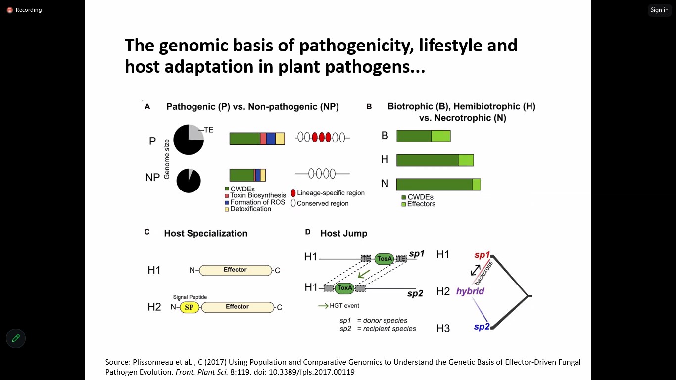 YSF Webinar: From Genes to genomes: advances of using DNA sequence data to study plant pathogenic fungi
