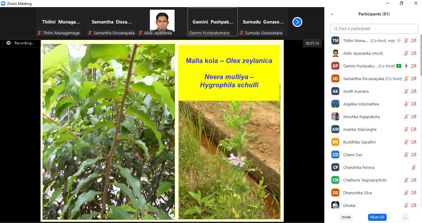 YSF Webinar on Food solutions for possible food crisis through underutilized/ neglected crop species and varieties in Sri Lanka